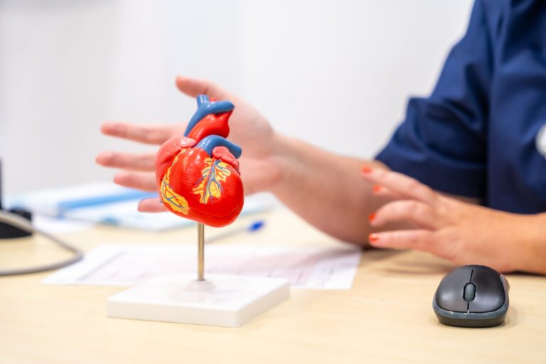 Cardiologist explaining something using a heart model to a patient