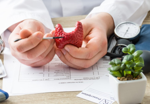 endocrinologie