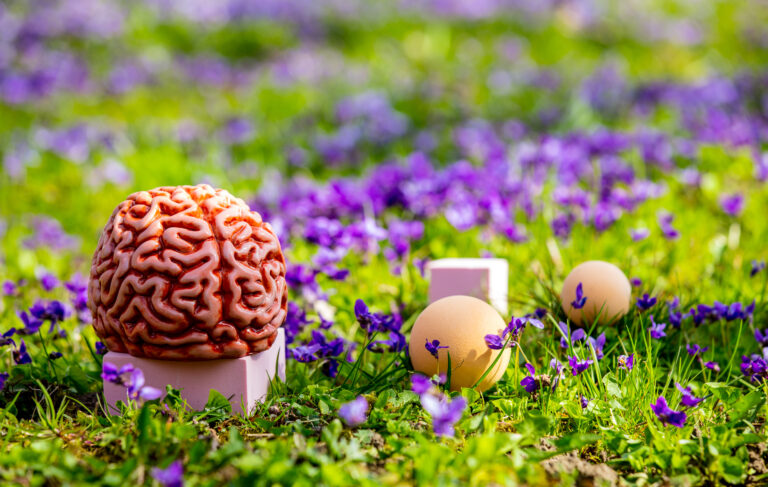Human brain on a green meadow with purple flowers